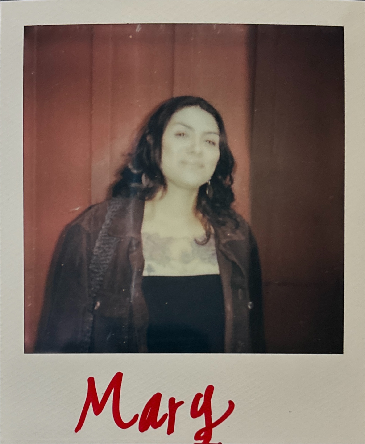 Polaroid 18